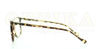 Picture of obroučky na dioptrické brýle model NL 30138 A4151